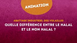 Quelle différence entre Halal et non Halal 