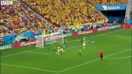 All 171 Goals of World Cup 2014 in 3 minutes