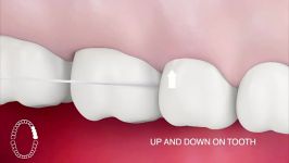 روش صحیح نخ دندان کشیدن دندان ها GUM