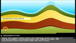 Formation Of Reservoir Rock   Oil