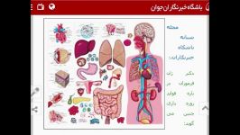 نظر پزشکان بزرگ جهان درباره فواید روزه گرفتن