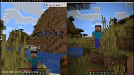 Minecraft Splitscreen