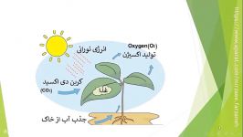 علوم پنجم فصل 12 ریشه تا برگ بخش اول