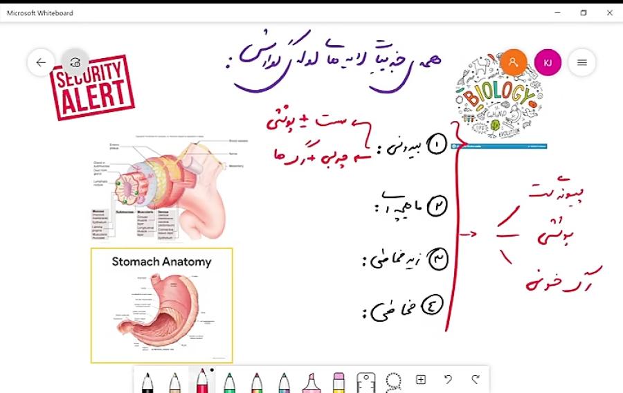 لایه های لوله گوارش دکتر معین کلانتر