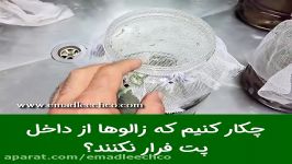 چکار کنيم زالوها داخل پت فرار نکنند؟