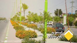 خودنمایی گلهای بهاری