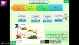 زیست،پایه نهم،فصل ۱۵،بوم سازگانقسمت سوم،خانم افتخاریان،دبیرستان سرآمد شیراز