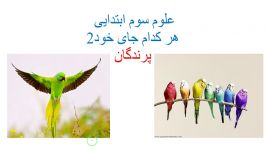 هرکدام جای خود ۲ پرندگان علوم سوم