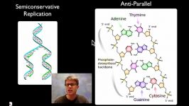 همانند سازی DNA