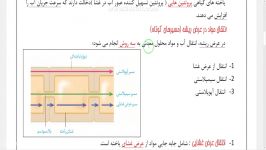 سه مسیر انتقال مواد در گیاه زیست دهم فصل 7 گفتار 3 ناصری