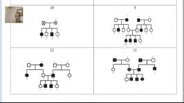 دودمانه 361