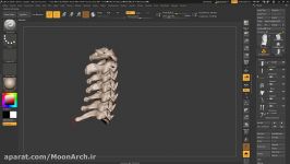 آموزش مجسمه سازی حجاری صورت در Zbrush