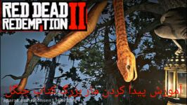 آموزش پیدا کردن ماربزرگ کتاب جنگل در RDR2