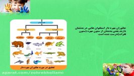 تدریس هرکدام جای خود 1