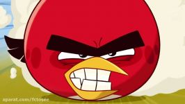 پرندگان خشمگین  انگری بردز  Angry Birds Toons 2013  قسمت 51