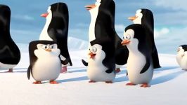 کلیپی انیمیشن زیبای the penguin of madagascar