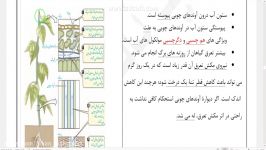 مکش تعرقی زیست دهم فصل 7 گفتار 3 ناصری