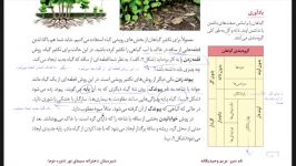 زیست یازدهم فصل۸ تکثیر بخشهای رویشی پارت سوم مدرس خانم وحید یگانه