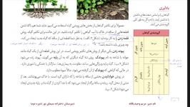 زیست یازدهم فصل۸ تکثیر بخشهای رویشی پارت دوم مدرس خانم وحید یگانه