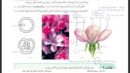 زیست یازدهم فصل۸ ساختارگل پارت سوم مدرس خانم وحید یگانه