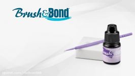 براش اند باند پارکل Parkell BrushBond