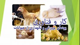 کار فناوری سال هشتم  پودمان پرورش نگهداری حیوانات دبیر آقای مرادی