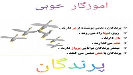 مدارس جوانه های مشهد خانم خوبی تدریس علوم آشنایی پرندگان پایه سوم