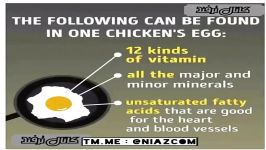 چه اتفاقی خواهد افتاد اگر شما روزانه 3 عدد تخم مرغ بخورید ️