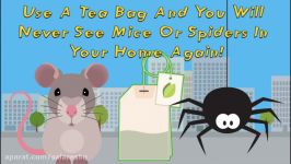 Use A Tea Bag And You Will Never See Spiders Or Mice In Your House Again