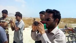 اقدام کلوپ کبوترمسافتی شمال خوزستان برای شکستن رکورد
