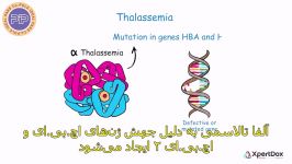 بیماری تالاسمی، یک اختلال خونی ارثی