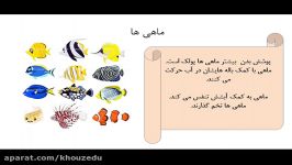 علوم پایه سوم ابتدایی  مهره داران  خانم آهو زاده گلستان نزاد دزفول