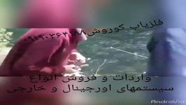 انواع سیستمهای طلایاب.گنجیاب.شرکت فلزیاب کوروش ۰۹۱۹۰۳۶۴۱۸۸