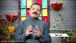 《امیرشهلا》،عضو شورای شهر مشهد