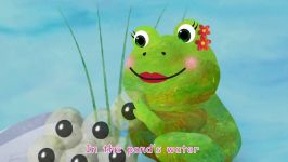 کوکوملونآموزش زبان انگلیسی  Frog Song Life Cycle of a Frog