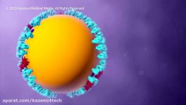 کرونا ویروس ، شکل جهش یافته ویروس سارس