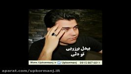 دانلود آهنگ کرمانجی جدید بیدل برزویی به نام تو دلی