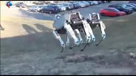 سگِ ربات منحصر به فرد+ ویدئو
