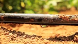 Recycling Water in the Negev Desert Israel