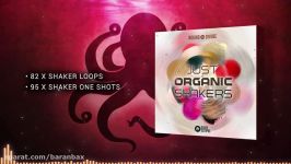 دموی مجموعه سمپل لوپ شیکر Black Octopus Sound Just Organic Shakers