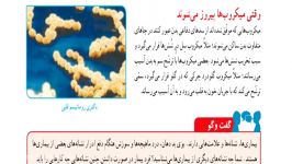 درس 13 علوم ششم وقتی میکروب ها پیروز می شوند،خانم محمدی دبستان پویندگان