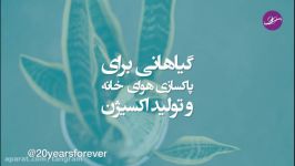 گیاهانی برای تصفیه هوای منزل تولید اکسیژن