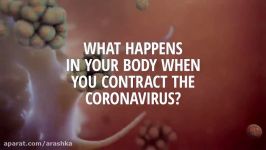 انیمیشن علمی ویروس کرونا ویروس پس ورود به بدن چه میکند؟