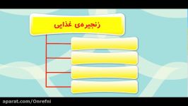 زیستگاه 8  زنجیره غذایی