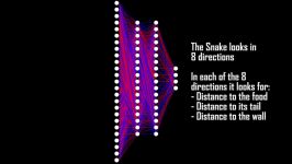 Snake Learn  Neural Nets with Genetic Algorithms