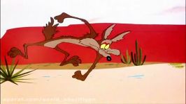 انیمیشن میگ میگ کایوت Coyote and the Road Runner  قسمت 22