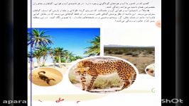 درس18 اجتماعی چهارم خانم حیدری آموزشگاه شهید عباس نجفی ممسنی