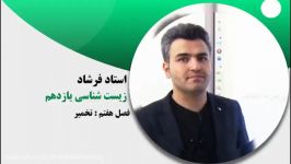 آموزش زیست یازدهم، تخمیر