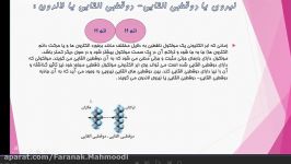 انواع نیروهای بین مولکولی