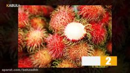 عجیب ترین ترسناک ترین میوه های جهان  کابل پلس  Kabul Plus